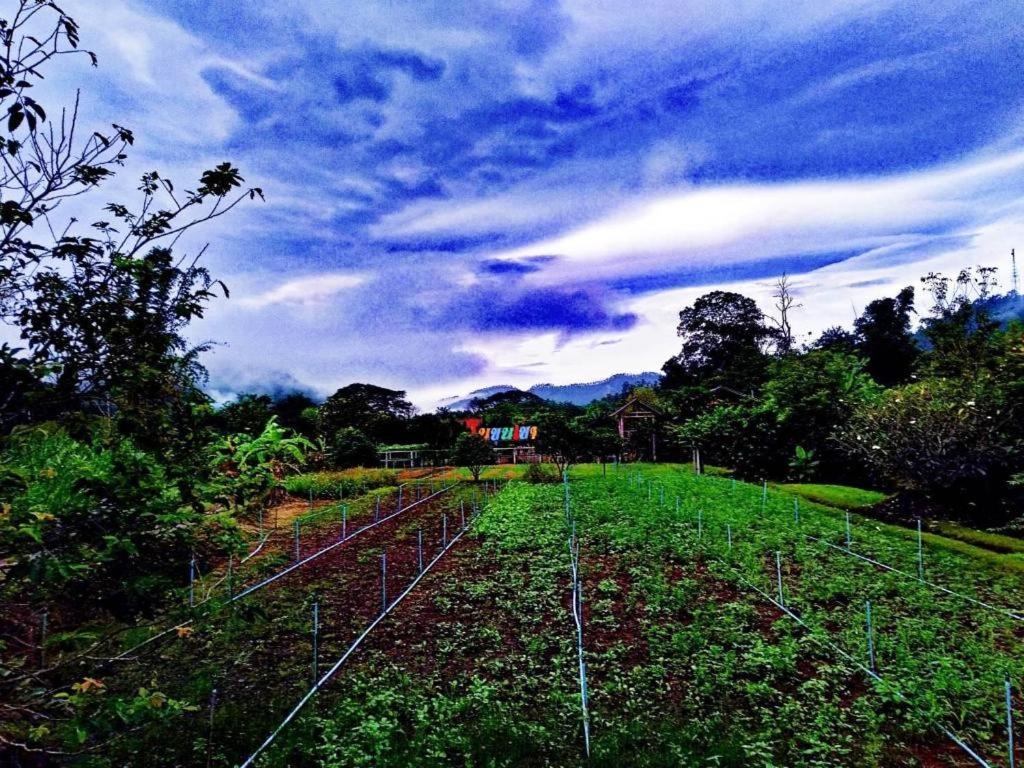 Nai Khun Khao Resort Chiang Mai Exteriör bild