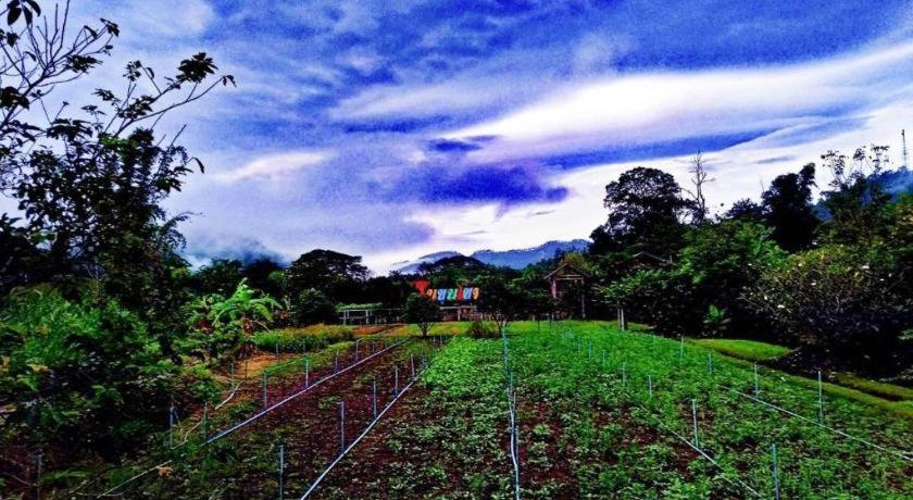 Nai Khun Khao Resort Chiang Mai Exteriör bild