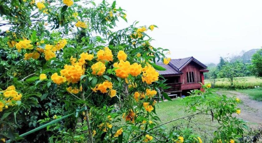 Nai Khun Khao Resort Chiang Mai Exteriör bild